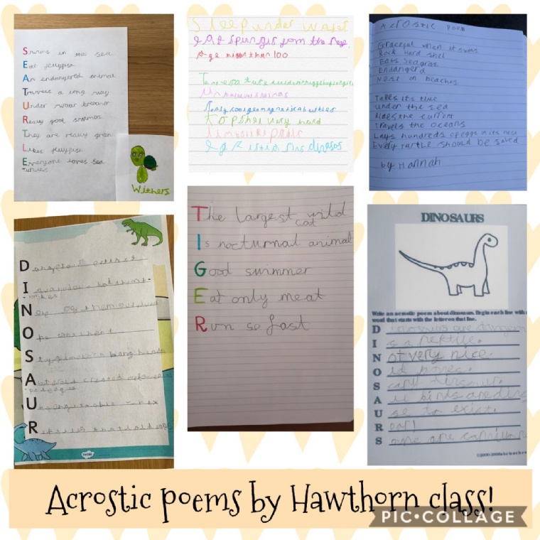 Paddox Primary School - English - Acrostic Poems